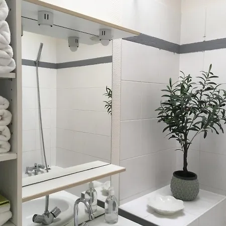 De 3 Et Parking 公寓 *